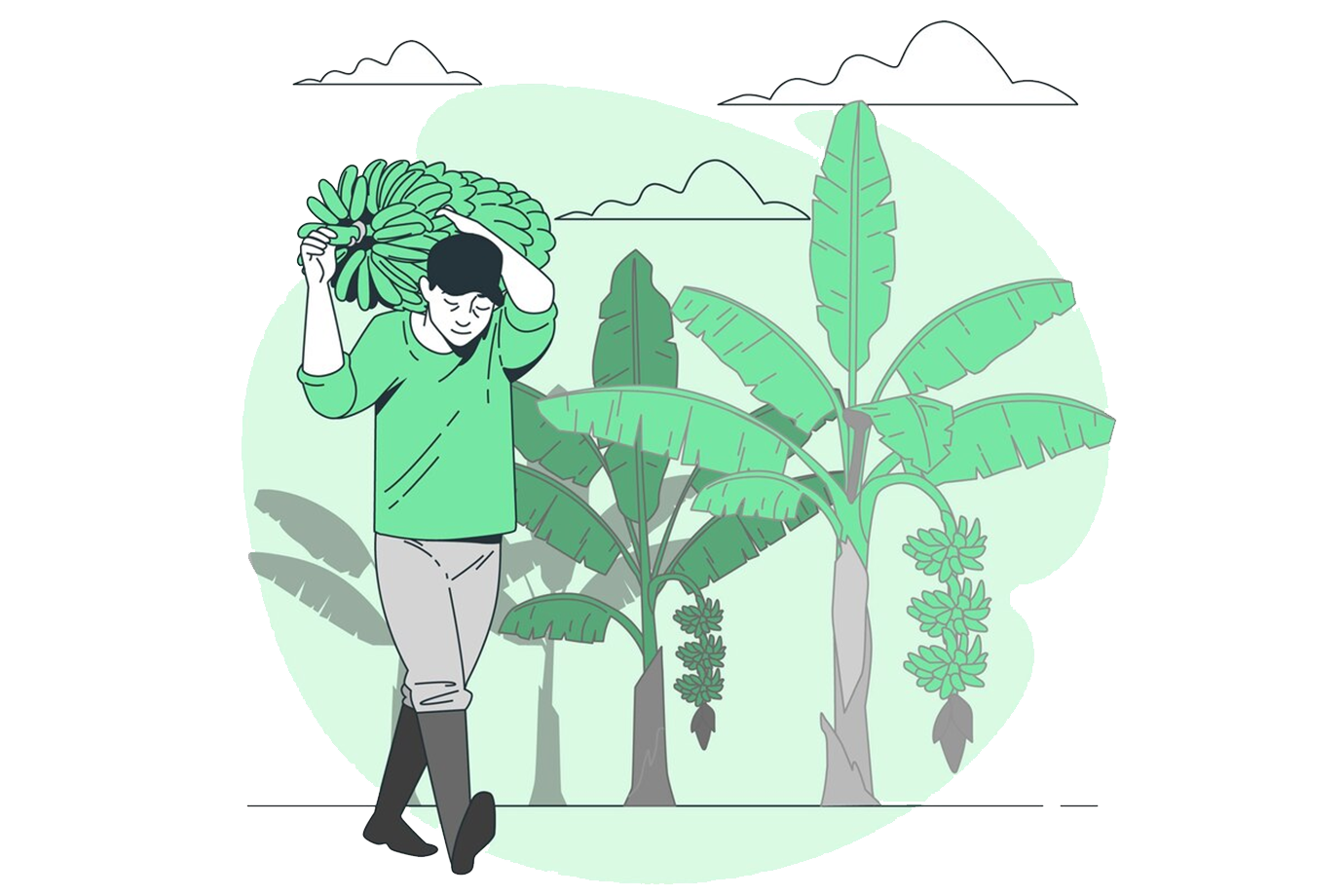Illustration